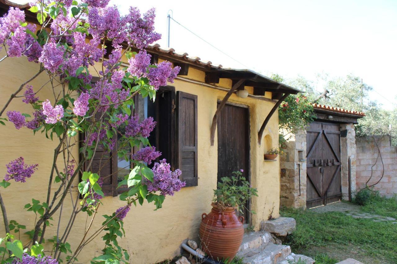 Varias Art House Kallirákhi Extérieur photo